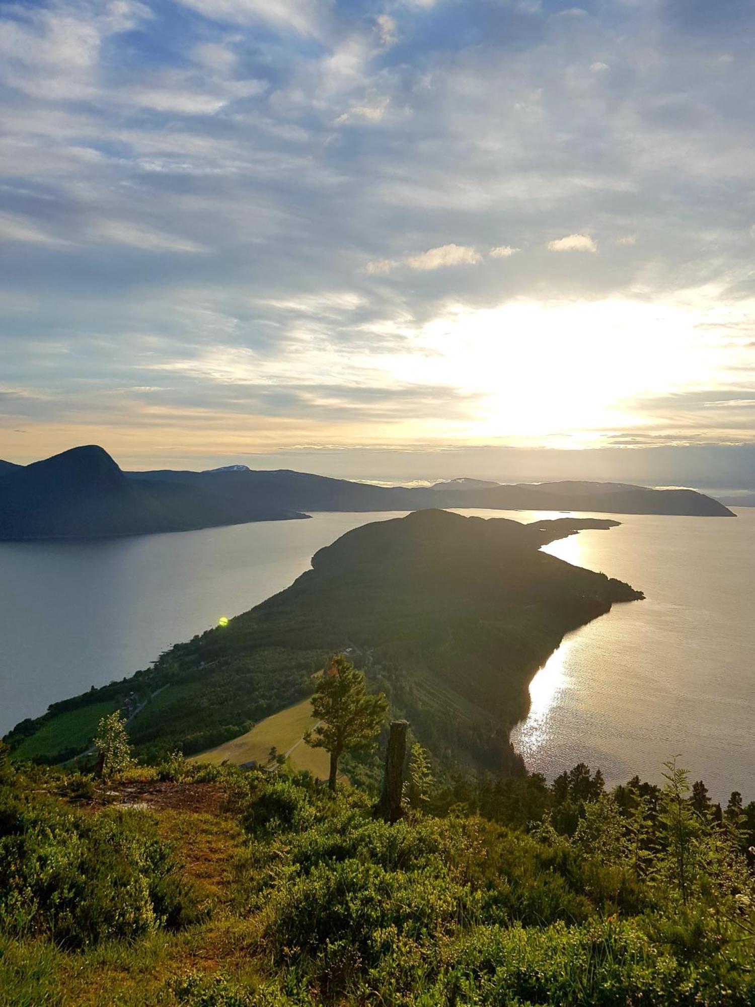 Fugelvagen, Cabins And Glamping Alvund ภายนอก รูปภาพ